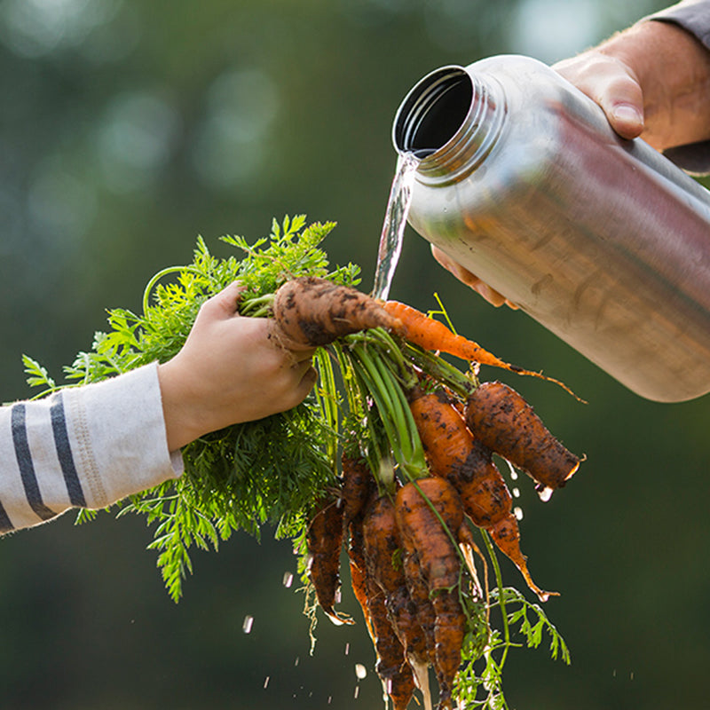64oz-wide-with-loop-cap-a4 64oz_wide_mouth_bottle_carrots_rinse_square.jpg