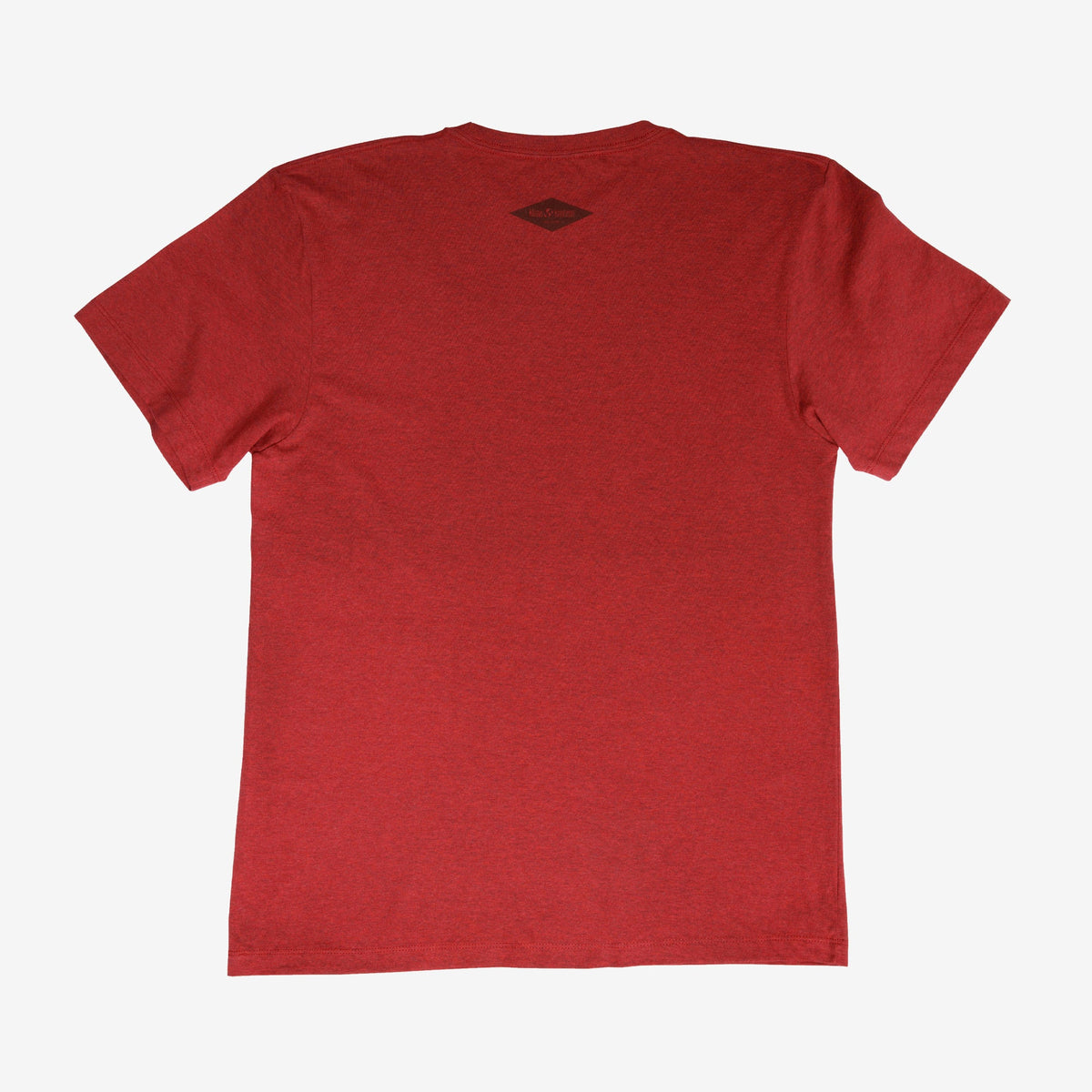 backyard-t-shirt-r2 Shirt_Mtn_Back.jpg